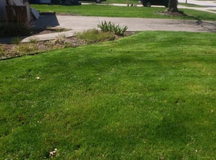 Cleanups by Allen Young for Kathleen H. in Westlake, OH