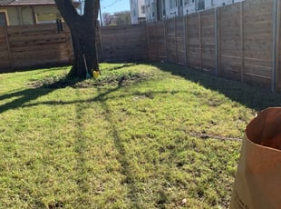 Leaf Removal by Adam Ramon for Christin R. in Austin, TX