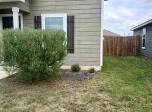 Bush Trimming by Vincent Vasquez for Jonathan G. in San Antonio, TX