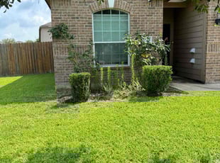 Bush Trimming by Marco a Salazar for Nicholas L. in Richmond, TX