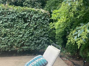 Bush Trimming by Jermaine Huguley for Chris J. in East Point, GA