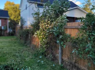 Bush Trimming by Mike Williams for Riley H. in Richmond, VA