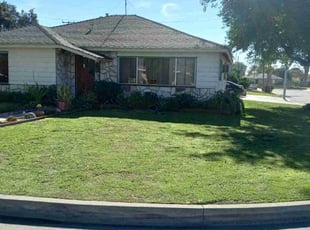 Francisco M.'s Lawn Mowing Service service result