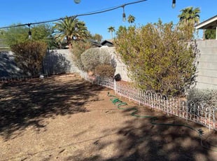 Bush Trimming by Juan Carlos Laurean Lozoya for Stephanie B. in Mesa, AZ