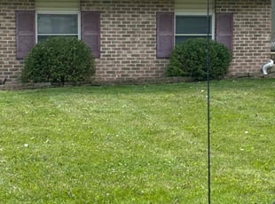 Damien R.'s Lawn Mowing service result