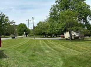 Damsel S.'s Lawn Maintenance service result