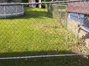 Cleanups by David Gallaway for Jackie W. in Saint Paul, MN