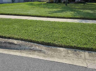 Paul P.'s Grass Cutting service result