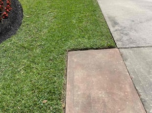 Rosie B.'s Lawn Mowing service result