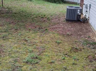 Leaf Removal by Allan Roberts for Chrystal M. in Washington, DC