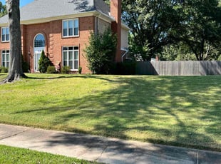 Yurim K.'s Lawn Maintenance service result