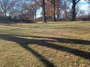 Leaf Removal by Charles Ridge for Kayla R. in Kansas City, KS