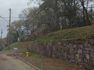 Bush Trimming by Mike Gulley for David K. in Birmingham, AL
