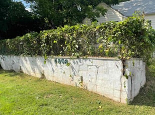 Bush Trimming by Edgar Elmore for Josh S. in College Park, MD