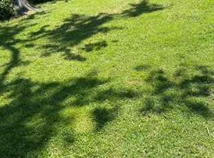 Christopher J.'s Yard Cutting service result
