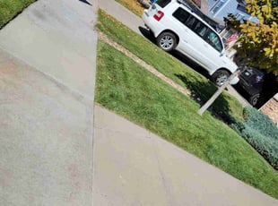 Cindy C.'s Lawn Service service result