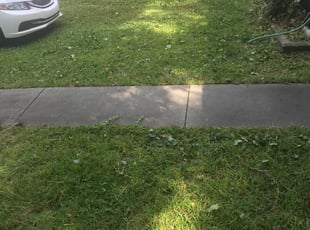 Bush Trimming by Xavier Grant for Craig W. in North Myrtle Beach, SC