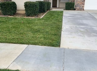 Bush Trimming by Andrew Velasquez for ERIC W. in Patterson, CA