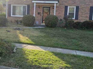 Allegra F.'s Lawn Mowing Service service result