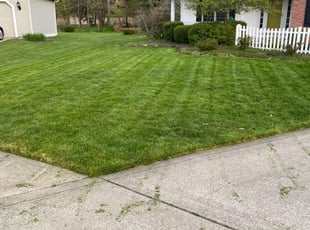 Weeding by Rick Smith for Karolyn T. in Brunswick, OH