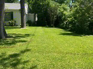 Darlene A.'s Lawn Service service result