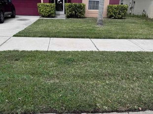 Charmaine S.'s Lawn Service service result