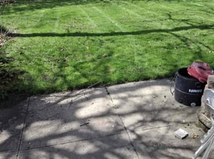 Ileana K.'s Lawn Mowing Service service result