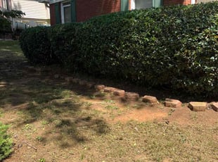 Nicole K.'s Bush Trimming service result