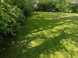 Deborah R.'s Lawn Care service result