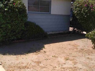 Bush Trimming by John Hurtado for Drew C. in Los Angeles, CA