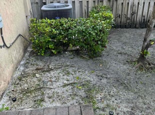Bush Trimming by Michael Smith for Desiree S. in Margate, FL