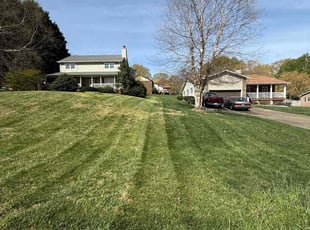 Monica S.'s Lawn Care service result