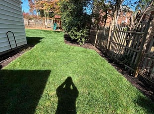 Teesa H.'s Lawn Care service result