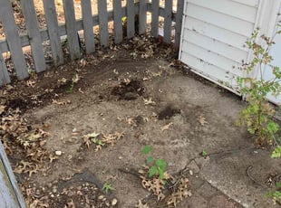 Cleanups by Chris Deshon for Erich K. in Granite City, IL