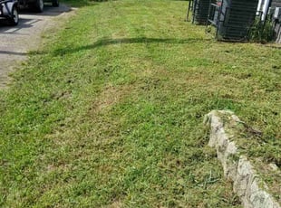 Kipp T.'s Lawn Maintenance service result