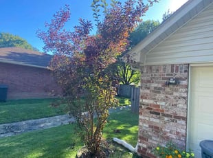 Bush Trimming by Charles Townsend for Rhonda J. in Rogers, AR