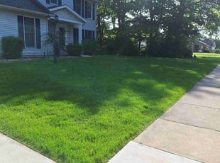 Stephanie E.'s Lawn Care service result