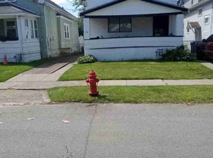 Lillie S.'s Yard Cutting service result