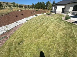 Priya M.'s Lawn Service service result