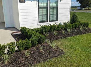 Weeding by Rodney Thibodeaux for Greg H. in Baton Rouge, LA