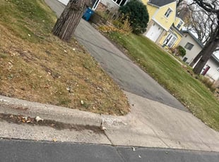 Leaf Removal by Santos Blanco for Jianli L. in Minneapolis, MN