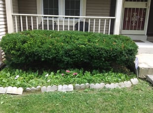 Bush Trimming by Greg Bush for LaTosha G. in Hyattsville, MD