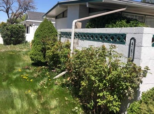 Bush Trimming by David Rordame for Melissa F. in Salt Lake City, UT