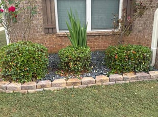 Bush Trimming by Howard Collier for Christine F. in McDonough, GA