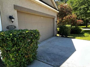 Danae S.'s Bush Trimming service result