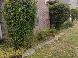 Bush Trimming by Kewon Andrews for Stephanie H. in Olive Branch, MS