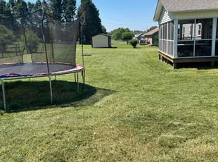 Phillip K.'s Lawn Service service result