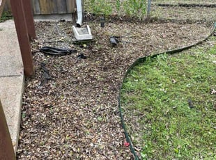 Weeding by Abel Baeza for Natalie G. in Princeton, TX