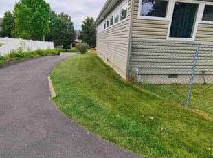 Dyanne D.'s Lawn Mowing service result