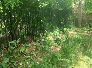 Landscaping by Michael Cherry for Marie K. in Charlotte, NC
